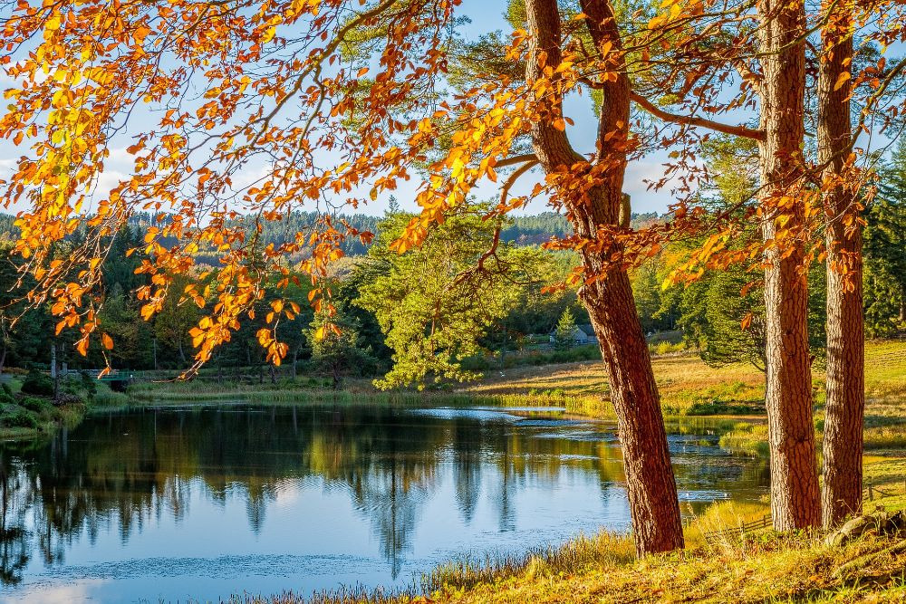 Finding Serenity in Change