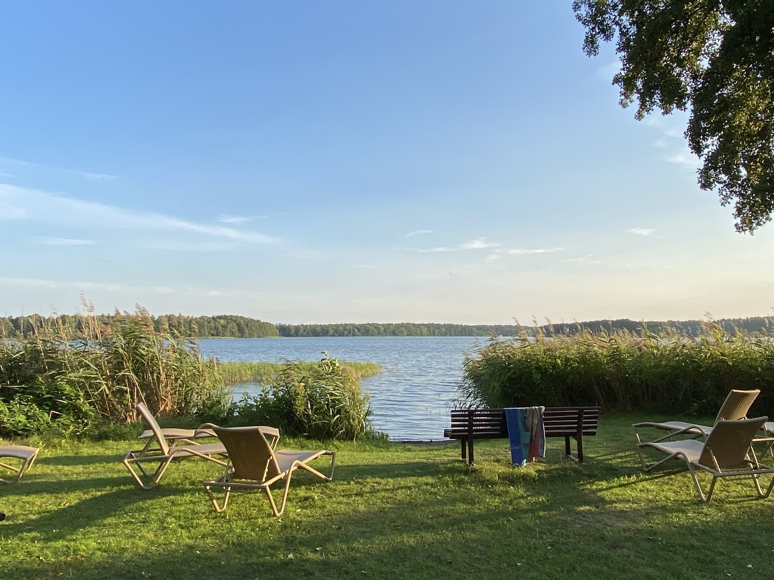 lychen retreat