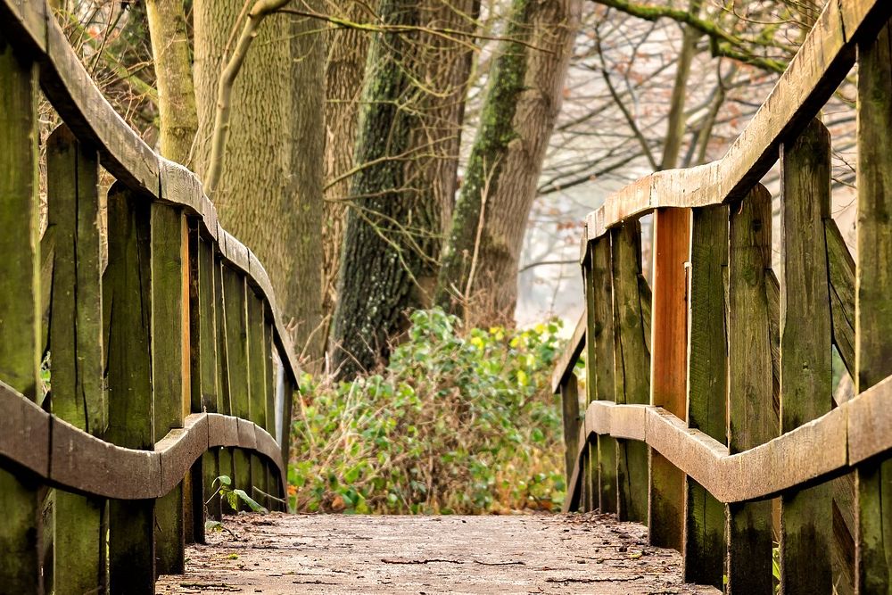YIN YOGA FRÜHLINGS KURS